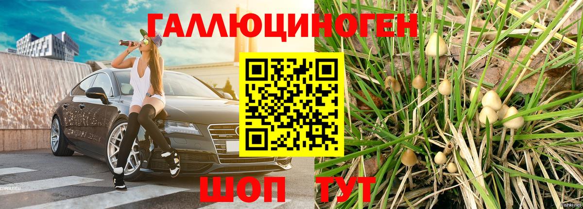 Валуйки  Галлюциногенные грибы мухоморы  Вход с VPN 